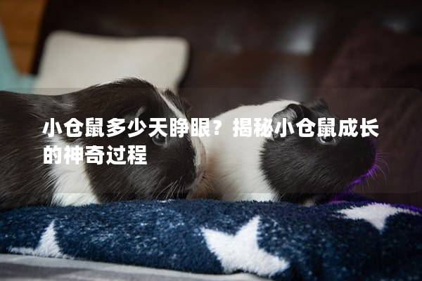 小倉鼠多少天睜眼？揭秘小倉鼠成長的神奇過程